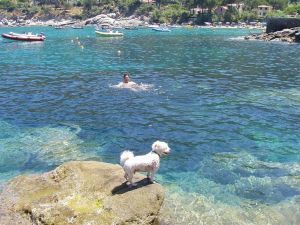 Ferienhaus auf Elba mit Hund